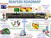 Reapers Roadmap Focus on Reaping
