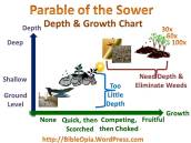 Parable of the Sower Depth and Growth Chart
